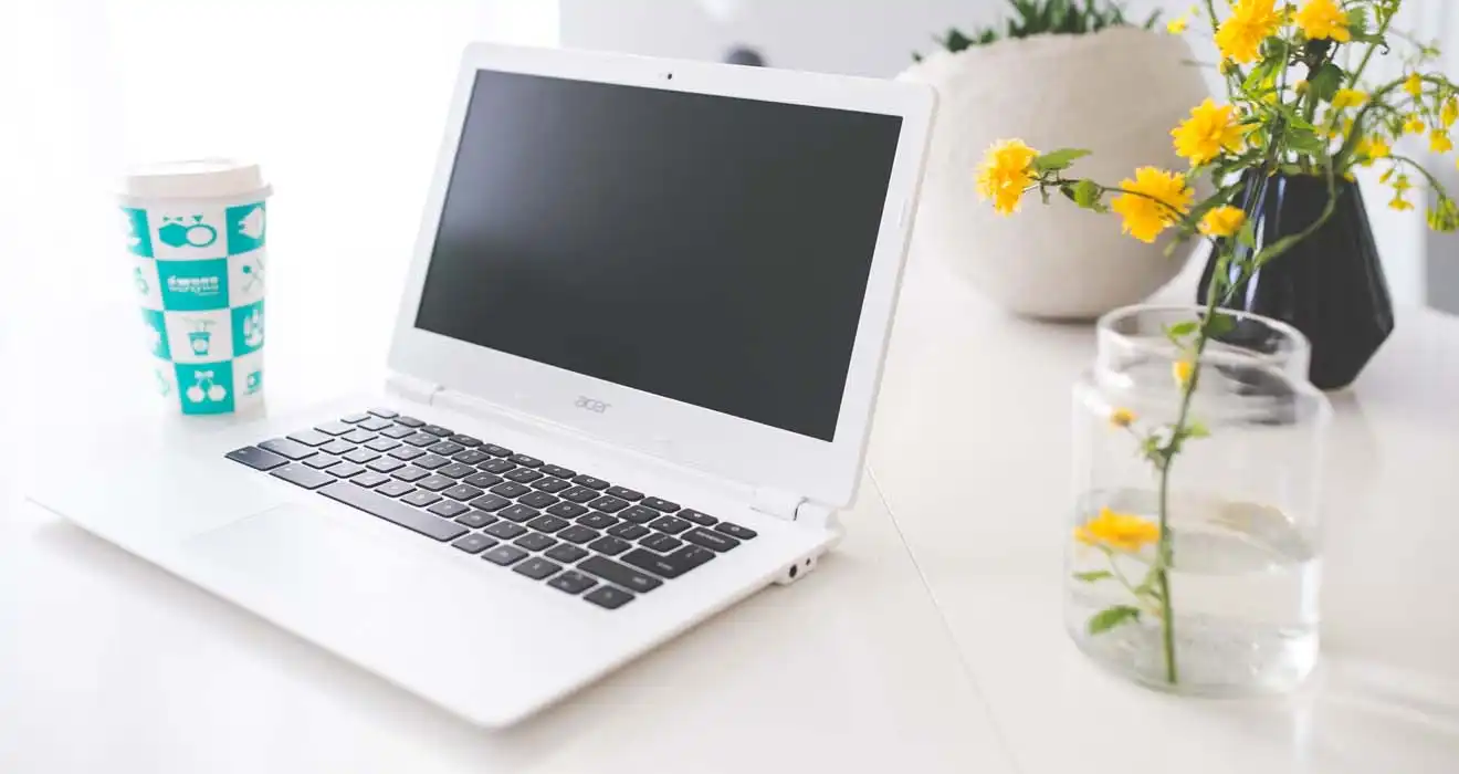Ремонт ноутбуков Acer в Воткинске